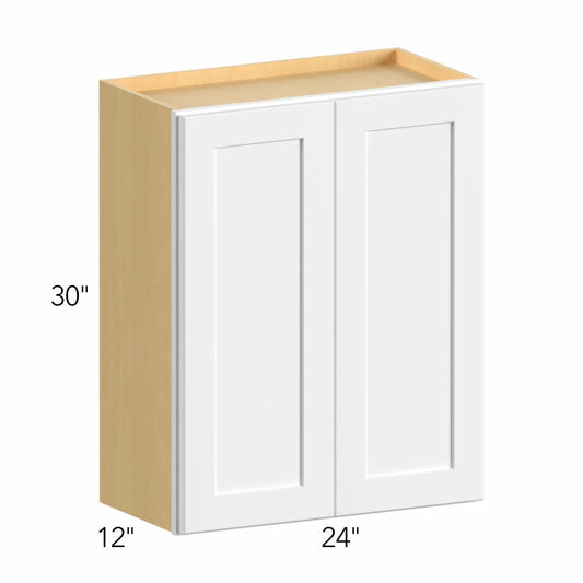 IGOU Allure Galaxy Frost 24"W x 30"H Double Door Wall | IG W2430