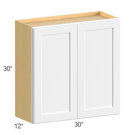 IGOU Allure Galaxy Frost 30"W x 30"H Double Door Wall | IG W3030